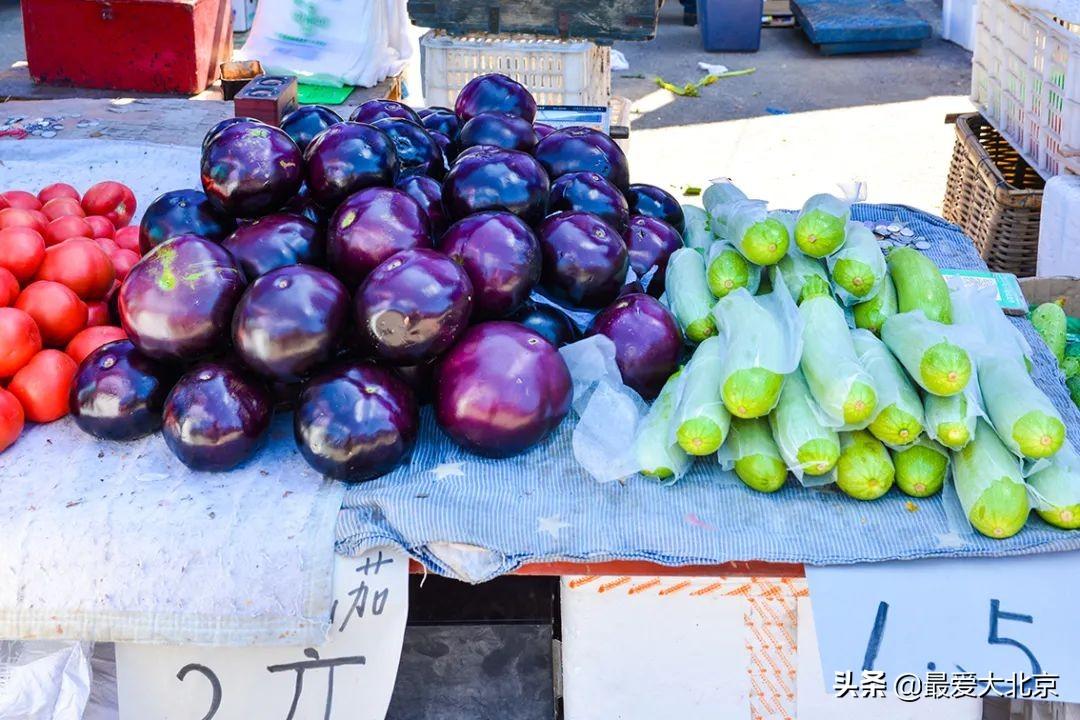 今日蒜苗价格最新行情-蒜苗市场价速览