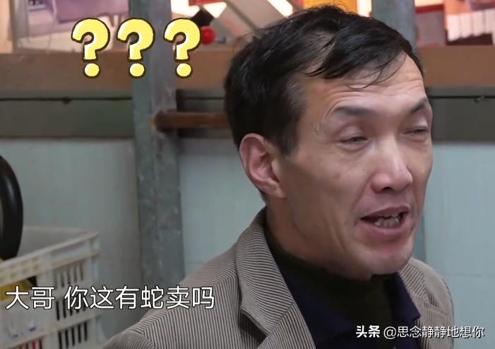 贾乃亮的综艺节目最新，贾乃亮综艺新动态