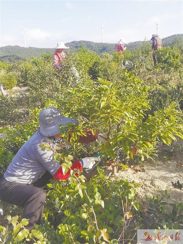 仙游榜首资讯速递：最新动态一览